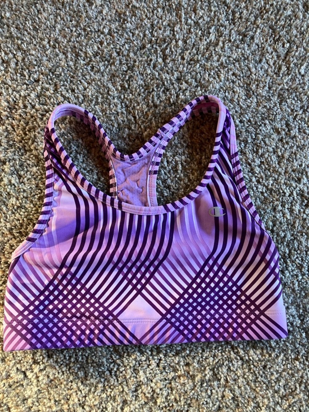 Champion Purple Striped Racerback Sports Bra